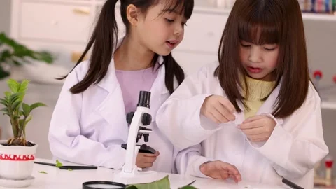 Two Young Girls in Lab Coats Examining Plant Samples with Microscope Stock Footage 346018121