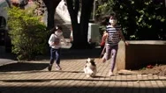 Two Young Girls With Mask Walking Dog New Normal Covid19 Brazil Stock Footage