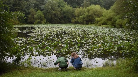 Two young girls sit at the edge of a pond Stock Footage