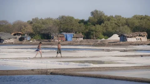 Two young Indian boys playing in salt pan flats, surrounded by mangrove forest 動画素材 337092829