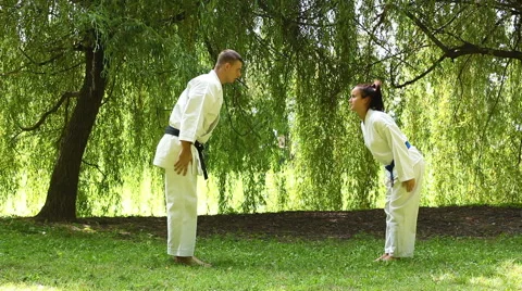 Two young Martial Arts fighters practicing in nature Stock-Footage 44347600