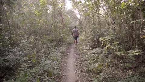 Two young men are exploring a path in the middle of the jungle Stock Footage 221785848