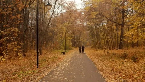 Two young men with a dog on a leash move along a park path covered with dry Stock Footage 165192043
