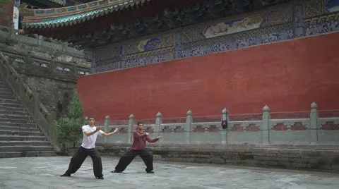 Two young men doing Tai Chi exercises Stock-Footage 10854819