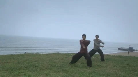 Two young men doing Tai Chi exercises Stock-Footage 10854846