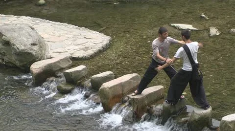 Two young men doing Tai Chi exercises Video stock 10854847