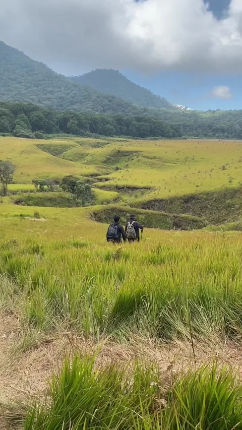 Two young men exploring the savanna, tegal panjang, indonesia. Видео 343606040
