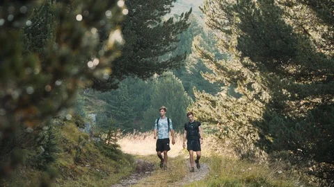 Two young men hiking through forest mountain landscape on trail, 4K Stock Footage 129613767