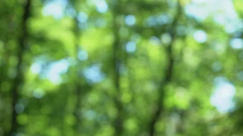 Two young men holding hands, love connection, sexual orientation, affection Video stock 92442440