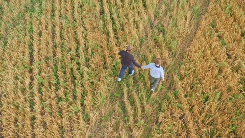 Two young men holding hands, walking along a cereal field. Aerial top view Video stock 115590891