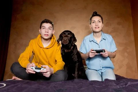 Two young men play a computer game and a dog sits with them Stock Photos