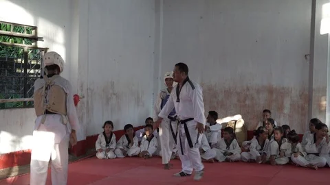 Two young men practicing taekwondo sparring, in front of group sitting on Stock Footage 113415607
