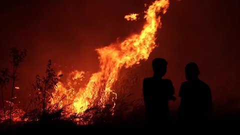 Two young men stand in front of a burning forest Stock Footage 247505174