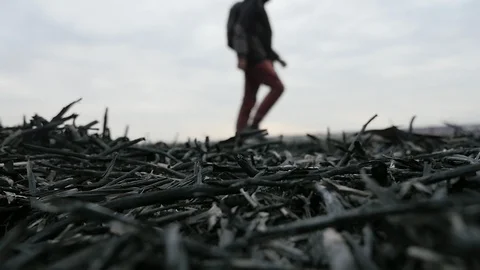 Two young men walking on a burnt ground in the woods. Slow motion Video stock 105545424