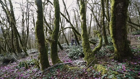 Two young people are walking deep in the forest on the sunny day 스톡 동영상 113663907