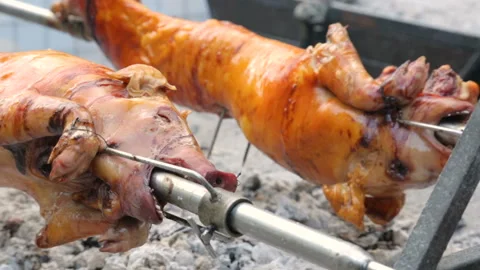 Two young pigs roasting on coals 库存影片 96643101