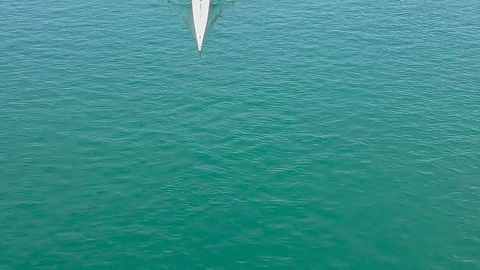 Two Young rowers Athlete rowing, slow motion full HD video Stock Footage 100221608