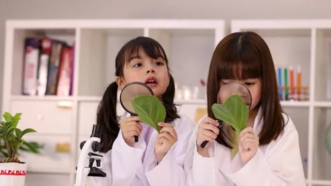 Two Young School Girls Examining Plant Leaves With Magnifying Glasses Stock Footage 345487771