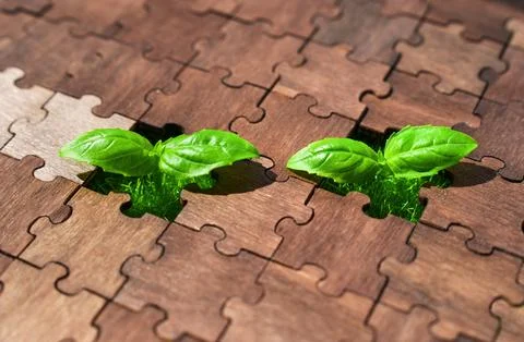 Two Young Seedlings Grow in an Empty Puzzle Slot Stockfoto's