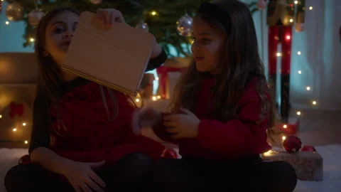 Two young sisters playing during Holidays Stock Footage 256661805