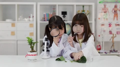 Two Young Students Using Magnifying Glasses in School Science Lab Stock Footage 346198241