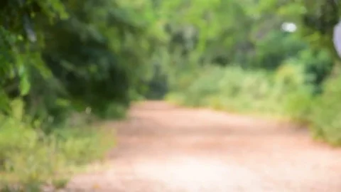 Two young Thai boy walk together on the crack road in the natural park. Stock-Footage 69216995