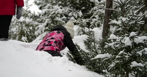Two Young Women Cutting Down a Christmas Tree in a Snowy Forest Stock Footage 317558987