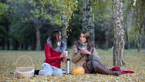 Two young women drinking tea from a thermos in autumn Park sitting on a blanket Stock-Footage 82249435