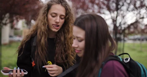 Two Young Women Explore a Park, Sharing Photos on Their Camera and Smartphone Stock Footage 314294462