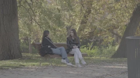Two young women sitting on a bench in a peaceful park in Madrid, Spain Stock Footage 345030167