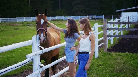 Two young women stand in a stable, stroking and look at the horses outdoors Stock-Footage 113822681
