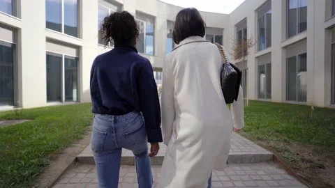 Two young working women talk business and walk up the stairs of a financial Stock Footage 233442995