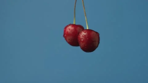Two yummy cherries on a blue background Stock Footage 135578213