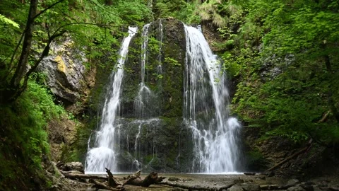 A twofold waterfall in a forest Stock Footage 260851145