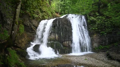 A twofold waterfall hidden in a summer forest Stock-Footage 260933970