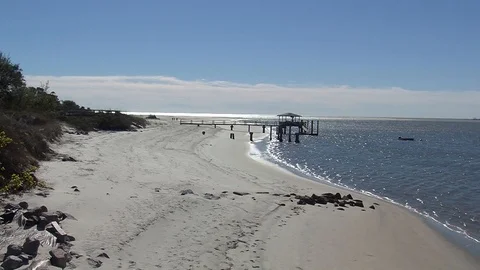Tybee Island Stock Footage 111341163