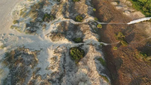 Tybee Island Georgia Sand Dunes Stock Footage