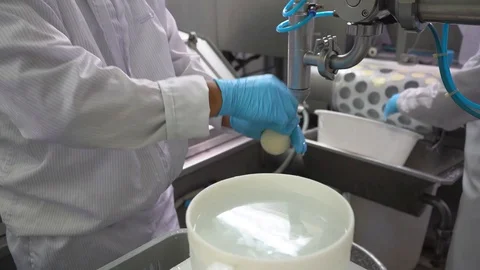 Tying and cutting cheeses in the process of making cheese in factory Stock Footage 129928124