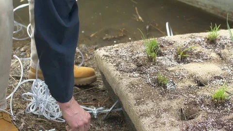 Tying knot on man-made floating plant islands Stockbeeldmateriaal 77077873
