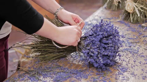 Tying Lavendin Stooks 스톡 동영상 40614824