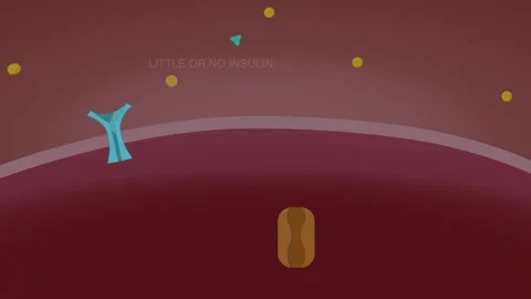 Type 1 Diabetes: GLUT 4 and Insulin with Text Stock-Footage 194821345