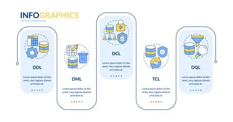 Type of database languages rectangle infographic vector Illustrazione stock
