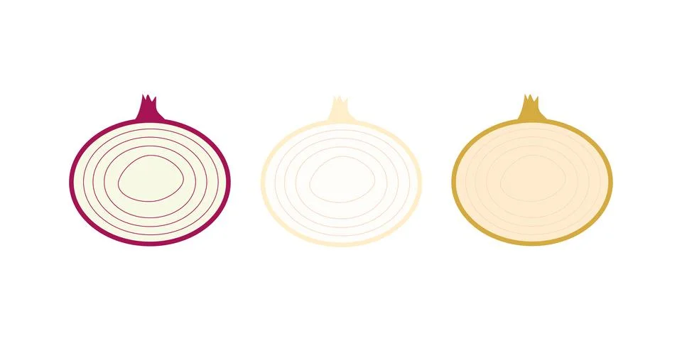 Type of onions vector illustration Stock Illustration