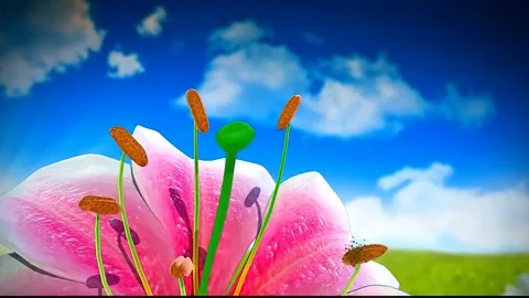 Types and processes of pollination Stock Footage 322535774