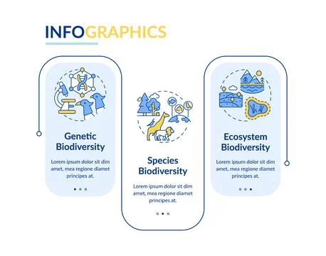Types of biodiversity rectangle infographic vector Stockillustratie