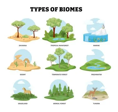 Types of biomes. Diverse environment ecosystem. Habitat landform climate zo.. Stock Illustration