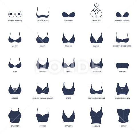 Types of bras. The complete vector collection of lingerie: Graphic ...