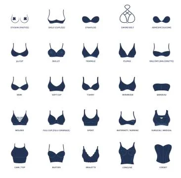 Types of bras. The complete vector collection of lingerie Stock Illustration