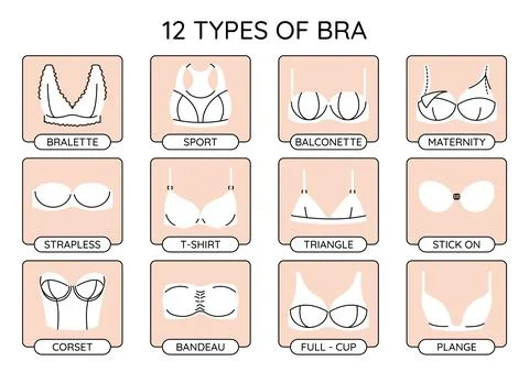 Types of bras infographics. Vector brassiere collection. Stock Illustration