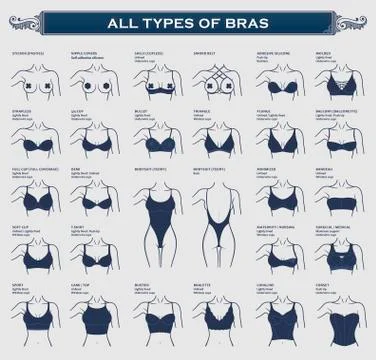Types of bras. The most complete vector collection of lingerie Stock Illustration